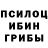 Галлюциногенные грибы мицелий szyna,Najlepsza nuta