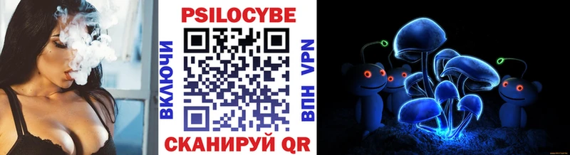 Купить закладки  Раменское  Псилоцибиновые грибы Cubensis 